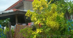 BFS Foreclosed House and Lot at LUVMI HOMES