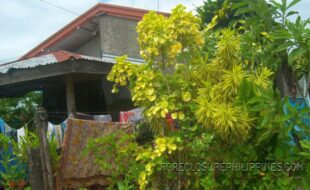  ¦¬²¸¾ÄÊÐÖÜâèî