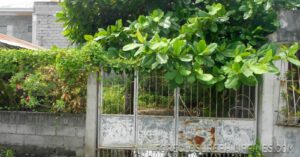 BFS Foreclosed House and Lot at GENSANVILLE SUBD.