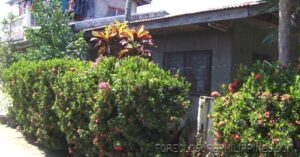 BFS Foreclosed House and Lot at GARCIAVILLE SUBD.