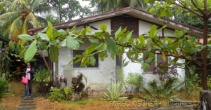 BFS Foreclosed House and Lot at FOREST DRIVE VILLAGE I
