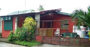 BFS Foreclosed House and Lot at F.F. GONZAGA SUBD.