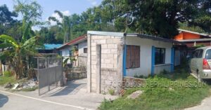 BFS Foreclosed House and Lot at MOUNTAINVIEW VILLAGE