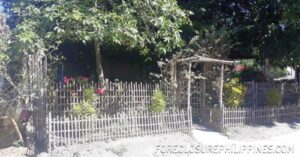 BFS Foreclosed House and Lot at MOUNTAINVIEW VILLAGE