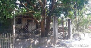 BFS Foreclosed House and Lot at MOUNTAINVIEW VILLAGE