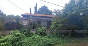 BFS Foreclosed House and Lot at ROCA SUBD.