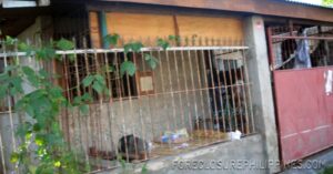 BFS Foreclosed House and Lot at GENSANVILLE SUBD.