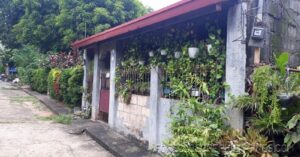 BFS Foreclosed House and Lot at MT. VIEW RESORT SUBD.