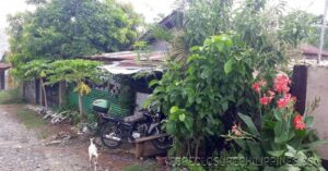 BFS Foreclosed House and Lot at PEOPLES VILLAGE III