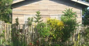BFS Foreclosed House and Lot at NHA-UPTOWN TAGBILARAN HOUSING PROJECT