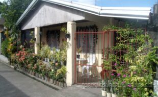 GEDSC DIGITAL CAMERA