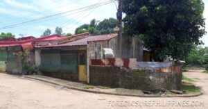 BFS Foreclosed House and Lot at MT. VIEW RESORT SUBD.