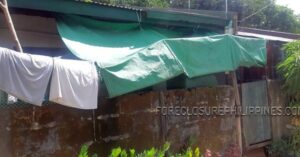 BFS Foreclosed House and Lot at MT. VIEW RESORT SUBD.