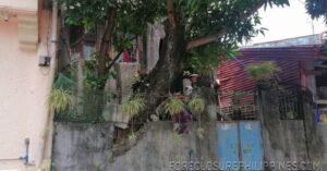 BFS Foreclosed House and Lot at ANTIPOLO HILLS SUBD.