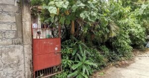 BFS Foreclosed House and Lot at VILLA FLORA EXECUTIVE HOMES SUBD.