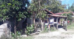BFS Foreclosed House and Lot at MOUNTAINVIEW VILLAGE