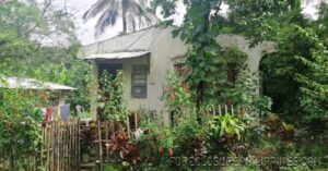 BFS Foreclosed House and Lot at ANTIPOLO HILLS SUBD.