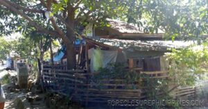 BFS Foreclosed House and Lot at MOUNTAINVIEW VILLAGE