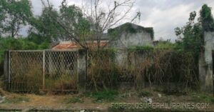 BFS Foreclosed House and Lot at TOWN AND COUNTRY NORTH EXEC. VILLAGE