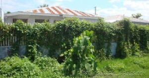 BFS Foreclosed House and Lot at GENSANVILLE SUBD.