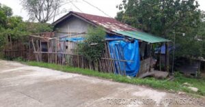 BFS Foreclosed House and Lot at PEOPLES VILLAGE III