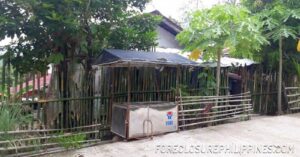 BFS Foreclosed House and Lot at PEOPLES VILLAGE III