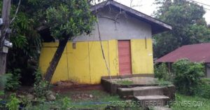 BFS Foreclosed House and Lot at PEOPLES VILLAGE III