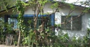 BFS Foreclosed House and Lot at NHA-PAHANOCOY JOINT VENTURE HOUSING PROJECT