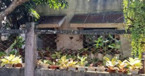 BFS Foreclosed House and Lot at COUNTRY HOMES SUBD.