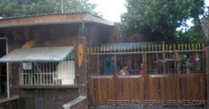 BFS Foreclosed House and Lot at NHA-PAHANOCOY JOINT VENTURE HOUSING PROJECT