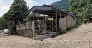 BFS Foreclosed House and Lot at VILLA FLORA EXECUTIVE HOMES SUBD.
