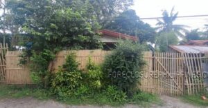BFS Foreclosed House and Lot at ROCA SUBD.