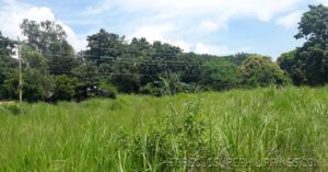 BFS Foreclosed Lot only at MT. VIEW RESORT SUBD.