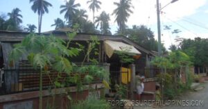 BFS Foreclosed House and Lot at KRISTOFFER HOMES SUBD