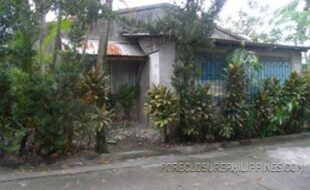 GEDSC DIGITAL CAMERA