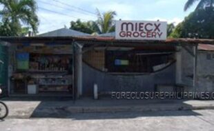 GEDSC DIGITAL CAMERA