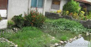 BFS Foreclosed House and Lot at EMENVIL GUERRA SUBD.