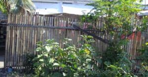 BFS Foreclosed House and Lot at GENSANVILLE SUBD.