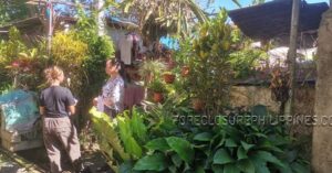 BFS Foreclosed House and Lot at CRISTAN VILLA SUBD.