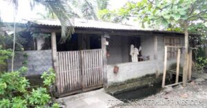 BFS Foreclosed House and Lot at EMENVIL GUERRA SUBD.