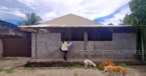 BFS Foreclosed House and Lot at DOÑA SOLEDAD SUBD.