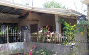 1 a ba 05002d0bc25a02981f21040c301a0 930183 50d18e 22c199 46c1a4 5231af 62a1ba 81e1c5 88e1ba 7fa1ba 816