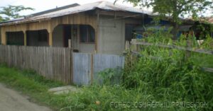 BFS Foreclosed House and Lot at EMENVIL GUERRA SUBD.