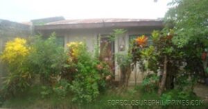 BFS Foreclosed House and Lot at EMENVIL GUERRA SUBD.