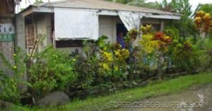 BFS Foreclosed House and Lot at EMENVIL GUERRA SUBD.