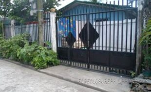 GEDSC DIGITAL CAMERA