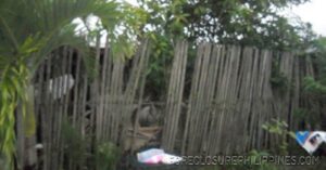 BFS Foreclosed House and Lot at EMENVIL GUERRA SUBD.