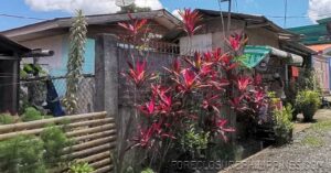 BFS Foreclosed House and Lot at BELEN EXEC. HOMES