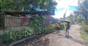 BFS Foreclosed House and Lot at GENSANVILLE SUBD.