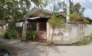 010 99 05002d04e03a86804e01040c30258   0239174e21a174b1fb17131e0171f1b81bf419021421a0 e661a814671b018621b81d781c0220a1c824c91d025451c824191c824ed